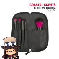 ราคา ลดล้างสต๊อกค่า [แท้ SALE] Coastal Scents, Color Me Fuchsia Brush Set (909654232)