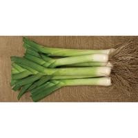 ราคา Leek กระเทียมต้น : Garden / 100 เมล็ด (23435033494)