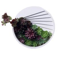 ราคา (พร้อมส่ง) แม่พิมพ์ซิลิโคน พิมพ์ซิลิโคนสามมิติ พิมพ์กระถาง ทำกระถางต้นไม้ กระถางปูนเปลือย (3951901734)