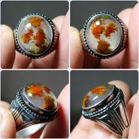 ราคา แหวนโมราโมราโมราโมราโมราโมราโมราโมรา (22557417766)