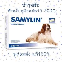 ราคา (พร้อมส่ง) Samylin Medium Breed บำรุงตับ สำหรับสุนัขน้ำหนัก 10-30kg ชนิดเม็ด Exp.08/2024 (14208573709)