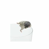 ราคา กาชาปอง แฮมเตอร์ปีนป่าย สีเทา เกาะแก้ว [Hamster Putitto] งานแท้ญี่ปุ่น.ขนาด3เซนติเมตร (4133388935)