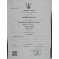 ราคา ✜◎ลูกตะกร้อ​มหาอุตม์​หลวงพ่อสุด (8359891631)