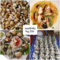 ราคา หอยชักตีน 1 กิโลกรัม (3774326417)