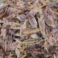 ราคา หมึกกล้วยจืด หมึกกล้วย แกะตาแกะไส้แล้ว สะอาดอบแห้งน้ำหนักเบา (กัลยาปลาหมึกแห้ง) (50850746585)