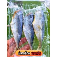ราคา ปลากล้วยกลมแดดเดียว ปลาเค็ม (ปริมาณ 100 กรัม) (24608442310)