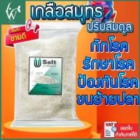 ราคา เกลือปรับสมดุล เกลือทะเล เกลือสมุทร เกลือเม็ด เกลือเลี้ยงปลา ช่วยป้องกันโรคปลา 1 กิโลกรัม (12891478932)