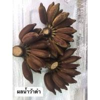 ราคา #หน่อกล้วยน้ำว้าดำ #น้ำว้าดำ จัดส่ง 1 หน่อ ( 3 หน่อแถม 1 หน่อ) (49403820140)