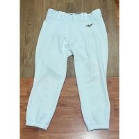 ราคา Baseball and Softball Mizuno Pro used size L (54954034642)