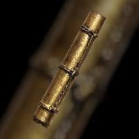 ราคา ตะกรุดหนังหน้าผากเสือ หลวงพ่อจง พุทธสโร แห่งวัดหน้าต่างนอก (42072339515)