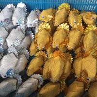 ราคา หว่านทานโปรยทาน ปลาเงินปลาทอง (6652673688)