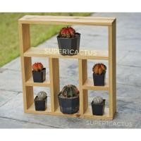 ราคา ชั้นวางกระบองเพชร วางของเอนกประสงค์ (เหลี่ยม​6ช่อง) (4049836912)