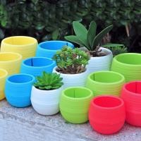 ราคา กระถางต้นไม้พลาสติกขนาดเล็กหลากสี Cactus colored pot (6200930911)