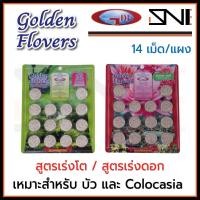 ราคา ปุ๋ยบัว บอน โคโลคาเซีย แผง 14 เม็ด Golden Flowers สูตรเร่งการเจริญเติบโต เร่งใบ เร่งต้น เร่งราก / สูตรเร่งดอก (10362006526)