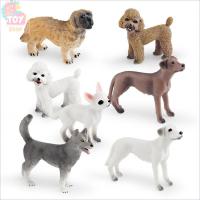 ราคา การศึกษาสำหรับเด็กของเล่นเพื่อการศึกษาจำลองสัตว์เลี้ยงสุนัขรุ่นสัตว์พุดเดิ้ลพุดเดิ้ลตุ๊กตาชิวาวาเครื่องประดับ (29705871457)