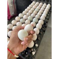 ราคา ไข่เป็ดเบอร์ 1 น้ำหนักไข่ 23 กรัม 1 แผง/30 ฟอง (25416441266)