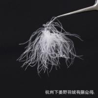 ราคา ผ้านวม Daduo ส่วนผสมขนเป็ด 95% สำหรับเสื้อแจ็คเก็ตและถุงนอน (54500826506)