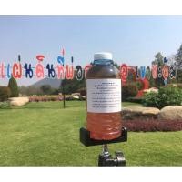 ราคา จุลินทรีย์ใบทองหลาง(จุลินทรีย์สังเคราะห์แสงใบทองหลาง) ขนาด330ml. (29316406171)