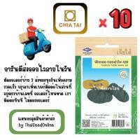 ราคา CTF1 x 10 เมล็ดผักซองเจียไต๋ ฟักทอง ทองอำไพ 426 สินค้ายกแพ็ค (43272985739)