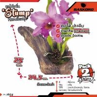 ราคา ตอไม้เรซิ่น ขอนไม้ธรรมชาติ สำหรับตกแต่งตู้ปลา ตู้ไม้น้ำ ตกแต่งสวน (แพค 2 ชิ้น) (19444120643)