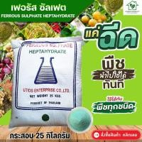 ราคา ผงจุลธาตุเหล็ก FerousSulfate Monohydrate (30%) ขนาดบรรจุ 25 กิโลกรัม (17271336884)