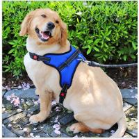 ราคา สายจูงสำหรับหมาใหญ่ แบบรัดอก พร้อมสายจูง สุนัขไซบีเรียน โกลเด้น เฟร้น หมาอ้วนใส่ได้ (6913276682)