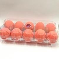 ราคา ไข่เยี่ยวม้า [ แพ็ค 10 ฟอง ] เบอร์ใหญ่ สมุนไพร ปลอดภัยไร้สาร 100% (25371564472)