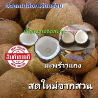 ราคา มะพร้าวแก่ มะพร้าวทำขนม มะพร้าวทำกระทิ เนื้อหนา เปลือกบาง (41763806626)