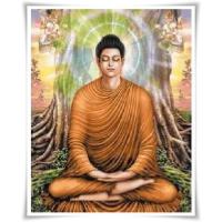 ราคา พระพุทธเจ้าตรัสรู้ (CX-EV-TB23) ชุดปักครอสติช ,Cross Stitch Kit (Pre Order) (2839714099)