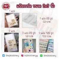 ราคา [MUJI] แฟ้มการ์ด มูจิ 2x3 นิ้ว , แฟ้มใส่บัตร์คอนเสิร์ต , แฟ้มชุดสวอชเทป , แฟ้มมิวสิคการ์ด , แฟ้มมูจิ (2748405747)