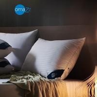 ราคา Omazz หมอนหนุน รุ่น Lofty Nano-down Fiber ส่งฟรี (15122197008)