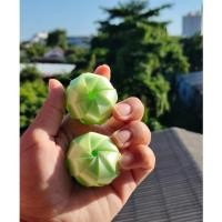 ราคา เหรียญโปรยทานลูกส้ม งานบวช งานริบบิ้น โปรยทานงานบวช**ตัวเปล่า** (7893119134)