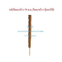 ราคา (10อัน) เสาใยมะพร้าว ยาว 70ซม. หลักไม้เลื้อยใยมะพร้าว เสาไม้เลื้อย เสาต้นไม้ หลักมะพร้าว หลักใยมะพร้าว (10784303863)
