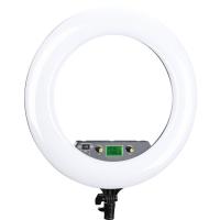 ราคา NiceFoto LR-480 AII SET I - Studio Lighting (19756541828)