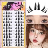 ราคา ใหม่ Wild Wildcat Eyelash Cat Elf Eyelash ความจุขนาดใหญ่ธรรมชาติ Photogenic การ์ตูนตา Pure Desire หนา (29103673832)