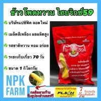 ราคา แปซิฟิค ข้าวโพดหวาน ไฮบริกซ์59 [ขนาด 1.4 กิโลกรัม ]หมดอายุ 01/12/2568 จำนวน 8,500 เมล็ด อร่อย (28023549507)