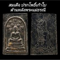ราคา C173​ สมเด็จ​ ปรกโพธิ์เก้าใบ เนื้อผงใบลาน​ ลงรักปิดทอง​ ด้านหลังพระแม่ธรณี​ ขนาด3.0x5.0.​cm (49353789604)