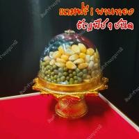 ราคา ข้าวมงคล 9 สี ธัญพืช 9 ชนิด ไหว้บูชา แม่สาริกา พระพิฆเนศ องค์เทพ บูชา ข้าวธัญพืช ของบูชาพระพิฆเนศ (16461763399)