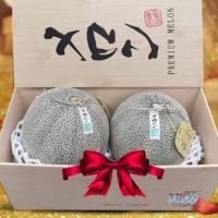 ราคา เมล่อนญี่ปุ่น กล่องลายไม้ เมล่อน แพ็ค 2 ลูก เนื้อสีเขียว by Fruit for Health (2842799157)