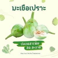 ราคา พร้อมส่ง มะเขือเปราะ สดใหม่ ไร้สารพิษ 1 กิโลกรัม (27825228634)
