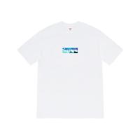 ราคา Supreme®x Emilio Pucci® Box Logo Tee (WHITE/BLUE) (10524802767)