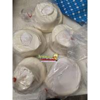 ราคา ยอดมะพร้าวอ่อน (ส่วนบนของยอดมะพร้าว) (5379363146)