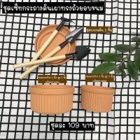 ราคา LOVEXGROWS : ชุดเซ็ทกระถางดินเผาทรงถ้วยอบขนม พร้อมจานรอง และชุดพรวนดิน รคาถูก (3370918522)