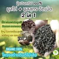 ราคา ขี้ไก่+ขี้หมู อัดเม็ด 2 in 1 ปุ๋ยคอกมูลสัตว์แบ่งขายราคาถูก (5738906040)