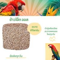 ราคา ข้าวโอ๊ต อาหารนกแก้ว (8666824043)