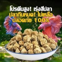 ราคา อาหารปลา อาร์ทีเมีย อาหารปลากัดแรกเกิด อาหารลูกปลากัด อาหารลูกปลา โปรตีนสูง เร่งโต เร่งสี อาทีเมียสด (40805145199)