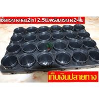 ราคา ถาดหลุมยกกระถาง 2 in1 24หลุม ถาดหลุมพร้อมกระถางกลม2.5นิ้ว 24 ใบ ถาดหลุม 2 in 1 ปลูกแคคตัส (6648416229)
