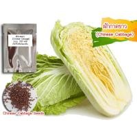 ราคา ผักกาดขาว (Chinese Cabbage) 500 เมล็ด (11141211611)