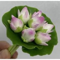 ราคา ช่อดอกบัวจิ๋ว ดอกไม้ดินไทย (6337446551)