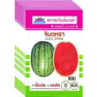 ราคา เมล็ดพันธุ์แตงโม จินตหรา ตราตะวันต้นกล้า 1 ห่อ 10 ซอง (55553273261)